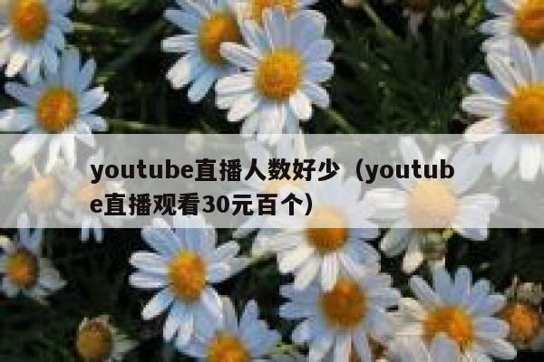 youtube直播人数好少（youtube直播观看30元百个） 第1张