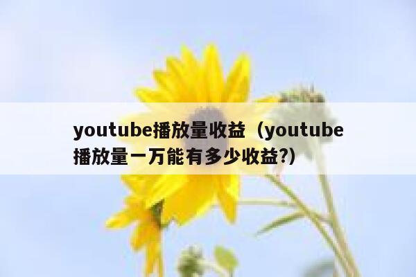 youtube播放量收益（youtube播放量一万能有多少收益?） 第1张