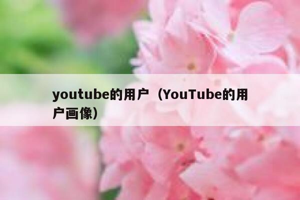 youtube的用户(YouTube的用户画像) 第1张 youtube的用户(YouTube的用户画像) 第1张