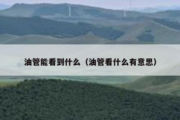 油管能看到什么（油管看什么有意思） 第1张