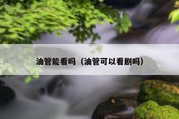 油管能看吗（油管可以看剧吗） 第1张
