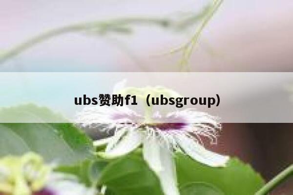ubs赞助f1（ubsgroup） 第1张