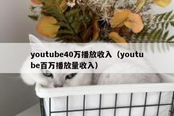 youtube40万播放收入(youtube百万播放量收入) 第1张 youtube40万播放收入(youtube百万播放量收入) 第1张
