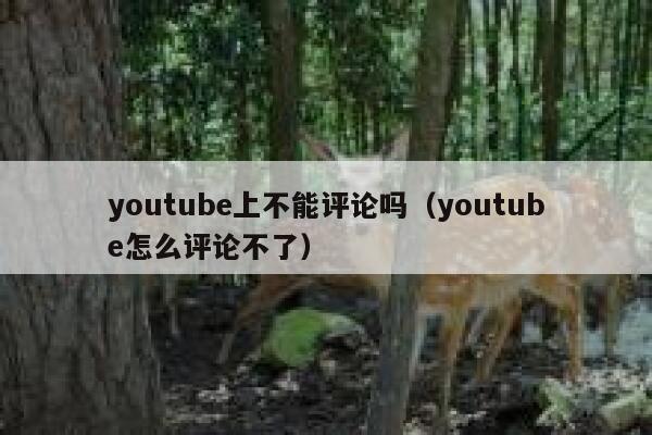 youtube上不能评论吗（youtube怎么评论不了） 第1张