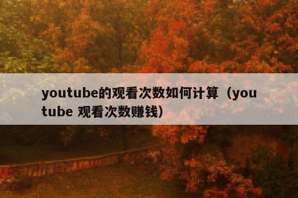 youtube的观看次数如何计算（youtube 观看次数赚钱） 第1张