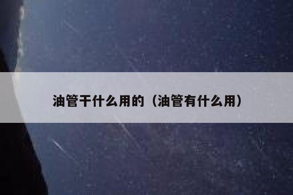 油管干什么用的（油管有什么用） 第1张