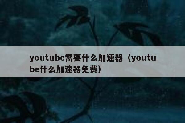 youtube需要什么加速器(youtube什么加速器免费) 第1张 youtube需要什么加速器(youtube什么加速器免费) 第1张