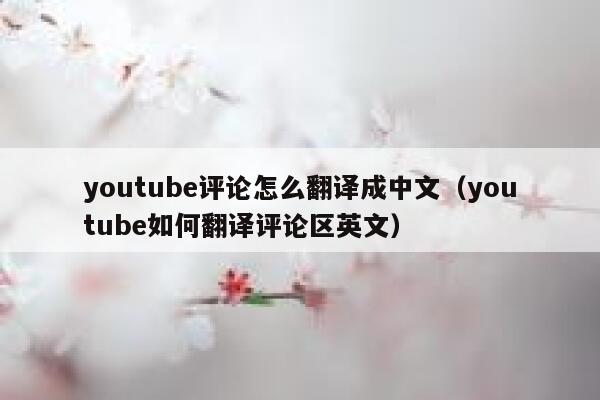youtube评论怎么翻译成中文（youtube如何翻译评论区英文） 第1张