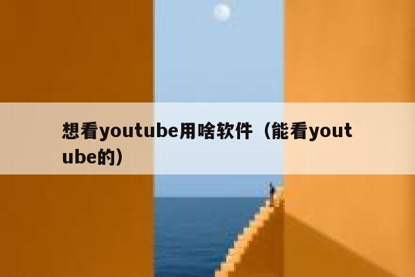 想看youtube用啥软件（能看youtube的） 第1张