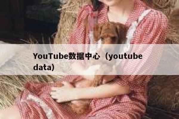 YouTube数据中心（youtube data） 第1张