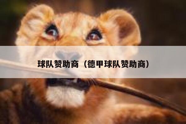 球队赞助商(德甲球队赞助商) 第1张 球队赞助商(德甲球队赞助商) 第1张