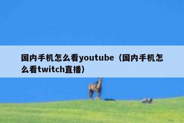 国内手机怎么看youtube（国内手机怎么看twitch直播） 第1张