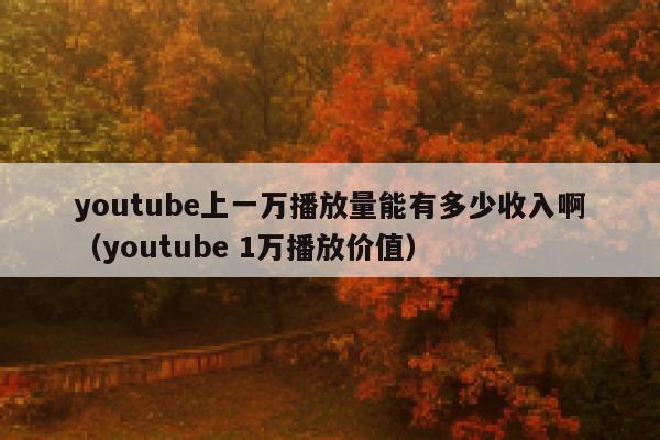 youtube上一万播放量能有多少收入啊（youtube 1万播放价值） 第1张