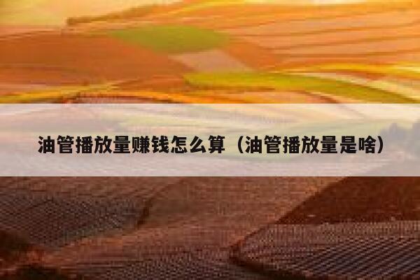 油管播放量赚钱怎么算（油管播放量是啥） 第1张