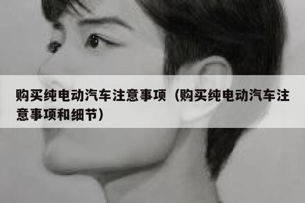 购买纯电动汽车注意事项（购买纯电动汽车注意事项和细节） 第1张