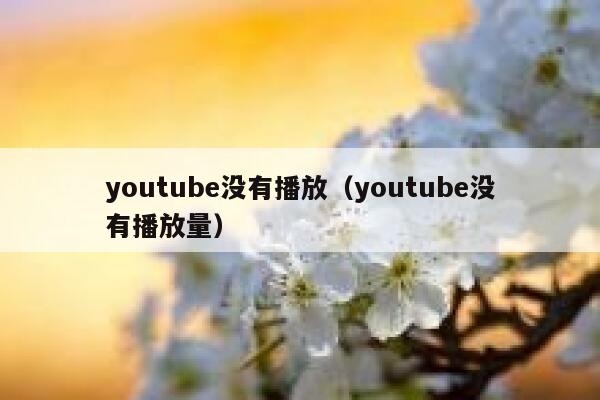 youtube没有播放（youtube没有播放量） 第1张