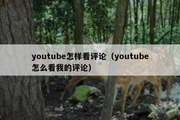 youtube怎样看评论（youtube怎么看我的评论） 第1张