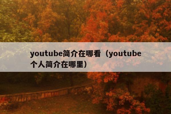 youtube简介在哪看（youtube个人简介在哪里） 第1张