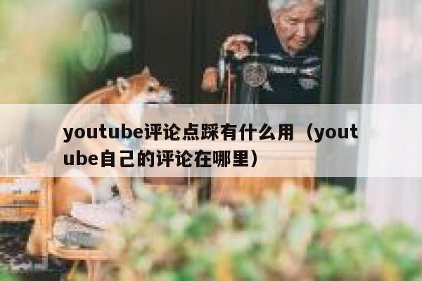 youtube评论点踩有什么用(youtube自己的评论在哪里) 第1张 youtube评论点踩有什么用(youtube自己的评论在哪里) 第1张