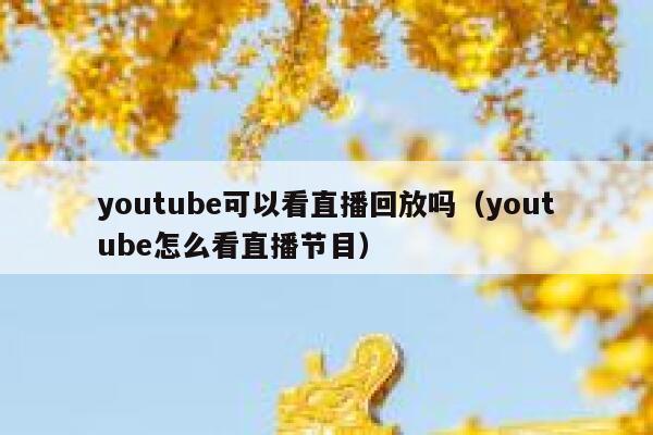 youtube可以看直播回放吗（youtube怎么看直播节目） 第1张