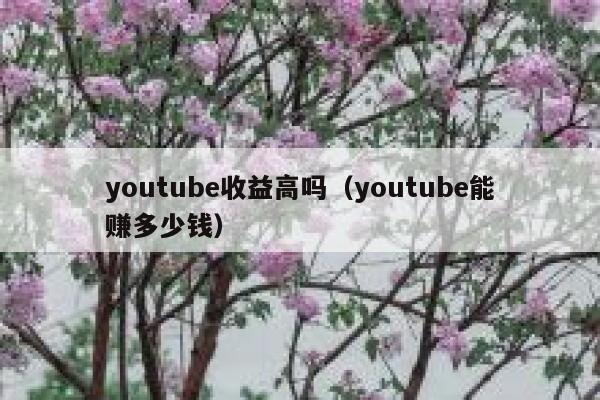 youtube收益高吗(youtube能赚多少钱) 第1张 youtube收益高吗(youtube能赚多少钱) 第1张