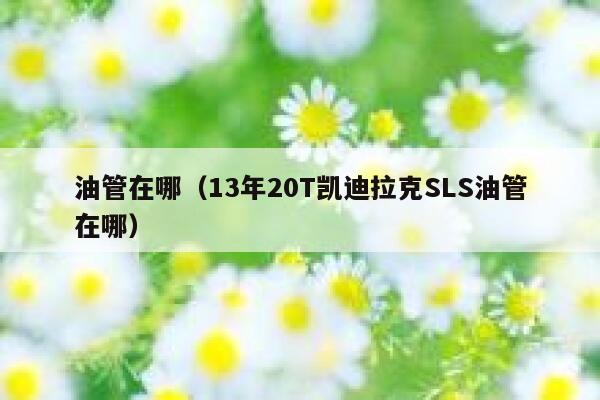 油管在哪（13年20T凯迪拉克SLS油管在哪） 第1张