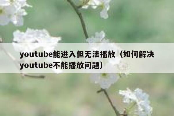 youtube能进入但无法播放（如何解决youtube不能播放问题） 第1张