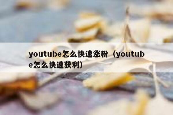 youtube怎么快速涨粉(youtube怎么快速获利) 第1张 youtube怎么快速涨粉(youtube怎么快速获利) 第1张