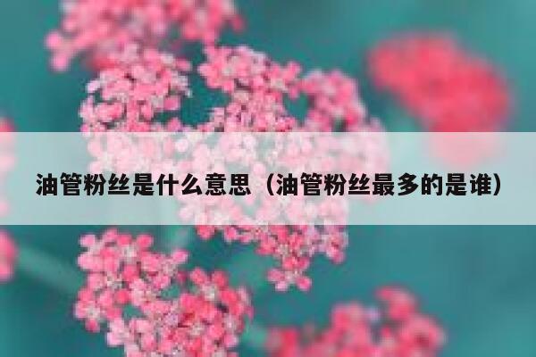 油管粉丝是什么意思(油管粉丝最多的是谁) 第1张 油管粉丝是什么意思(油管粉丝最多的是谁) 第1张