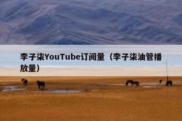 李子柒YouTube订阅量(李子柒油管播放量) 第1张 李子柒YouTube订阅量(李子柒油管播放量) 第1张