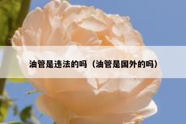 油管是违法的吗(油管是国外的吗) 第1张 油管是违法的吗(油管是国外的吗) 第1张