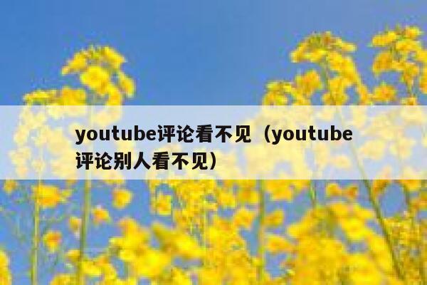 youtube评论看不见（youtube评论别人看不见） 第1张