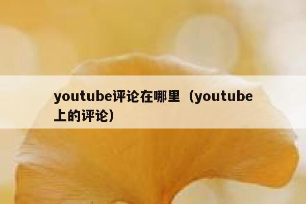 youtube评论在哪里（youtube上的评论） 第1张