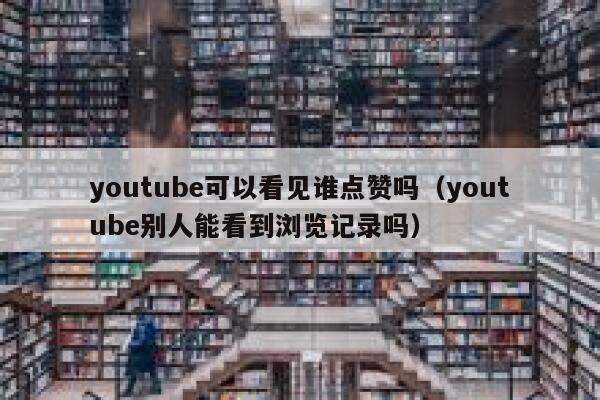 youtube可以看见谁点赞吗(youtube别人能看到浏览记录吗) 第1张 youtube可以看见谁点赞吗(youtube别人能看到浏览记录吗) 第1张