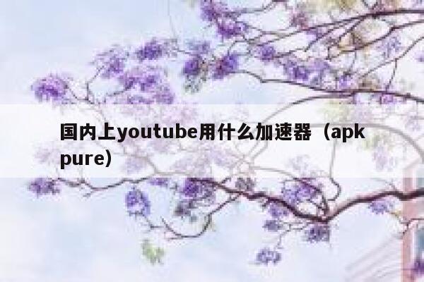 国内上youtube用什么加速器（apkpure） 第1张