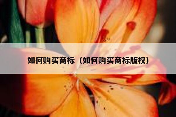 如何购买商标（如何购买商标版权） 第1张