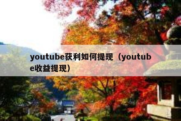 youtube获利如何提现（youtube收益提现） 第1张