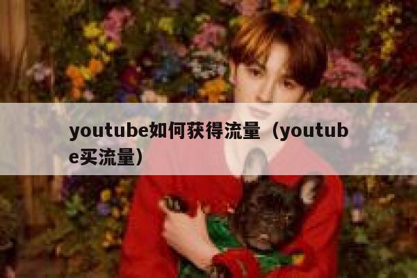 youtube如何获得流量（youtube买流量） 第1张