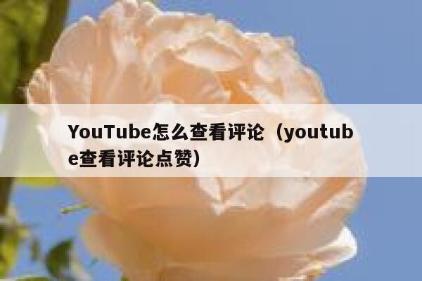YouTube怎么查看评论（youtube查看评论点赞） 第1张
