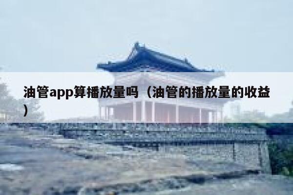 油管app算播放量吗（油管的播放量的收益） 第1张