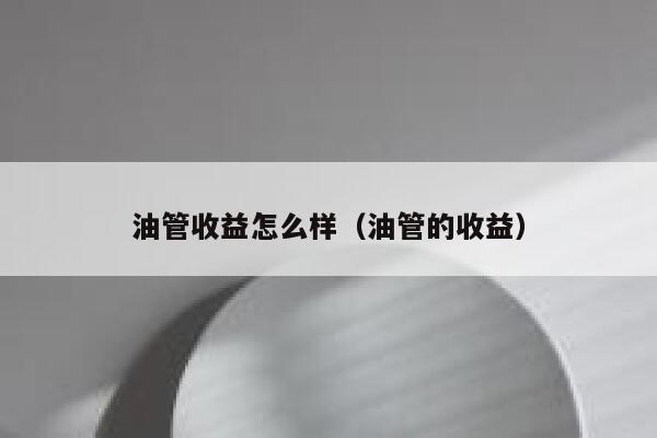 油管收益怎么样(油管的收益) 第1张 油管收益怎么样(油管的收益) 第1张