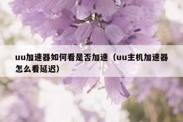 uu加速器如何看是否加速(uu主机加速器怎么看延迟) 第1张 uu加速器如何看是否加速(uu主机加速器怎么看延迟) 第1张
