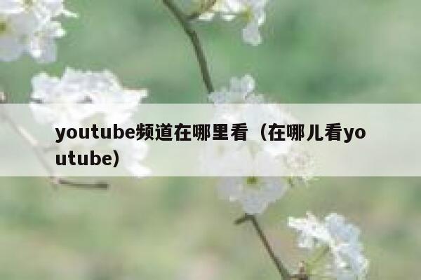 youtube频道在哪里看（在哪儿看youtube） 第1张