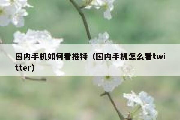 国内手机如何看推特(国内手机怎么看twitter) 第1张 国内手机如何看推特(国内手机怎么看twitter) 第1张