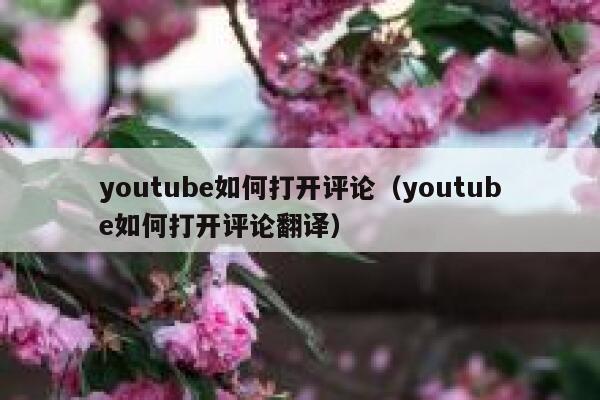 youtube如何打开评论（youtube如何打开评论翻译） 第1张