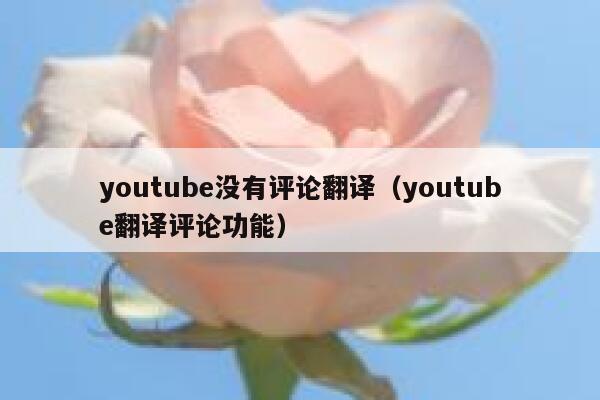 youtube没有评论翻译（youtube翻译评论功能） 第1张