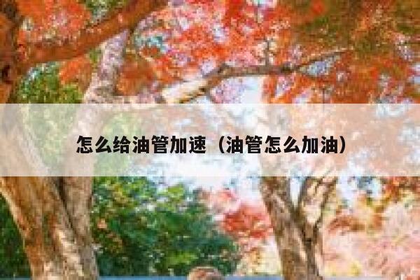 怎么给油管加速(油管怎么加油) 第1张 怎么给油管加速(油管怎么加油) 第1张