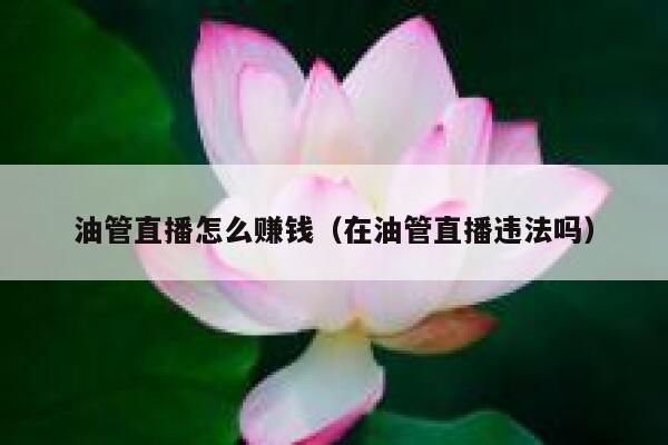 油管直播怎么赚钱（在油管直播违法吗） 第1张