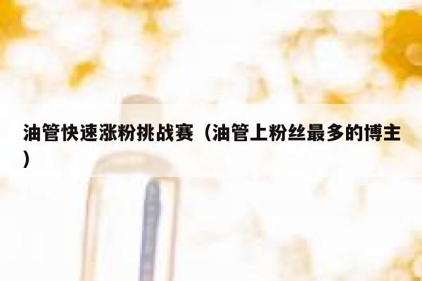 油管快速涨粉挑战赛（油管上粉丝最多的博主） 第1张