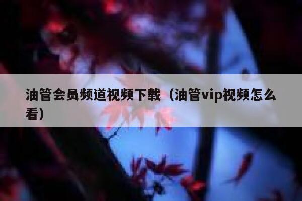 油管会员频道视频下载(油管vip视频怎么看) 第1张 油管会员频道视频下载(油管vip视频怎么看) 第1张